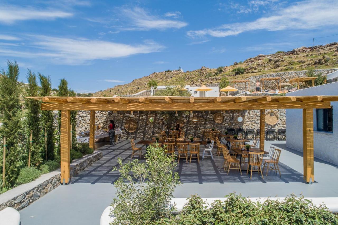 普拉迪斯亚罗斯 Mykonos Drops酒店 外观 照片